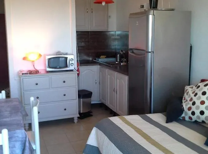 Capnaturiste8 アグド